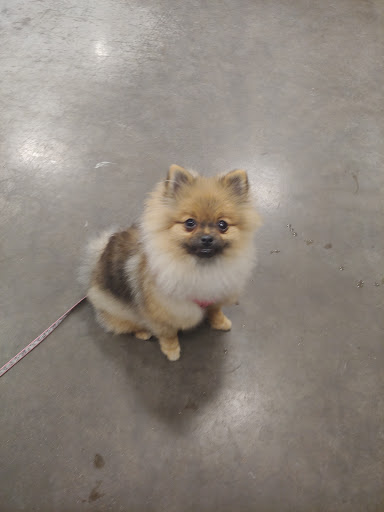 Pet Supply Store «PetSmart», reviews and photos, 8460 Tamarack Village, Woodbury, MN 55125, USA