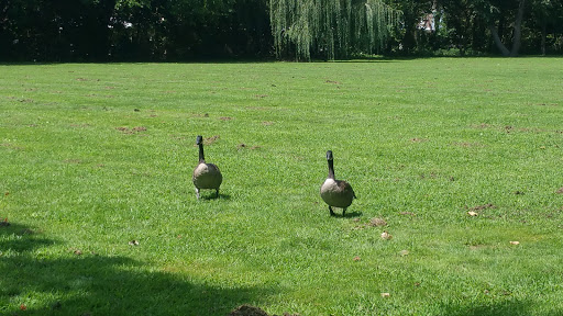 Park «Governor Printz Park», reviews and photos, Taylor Ave & W 2nd St, Essington, PA 19029, USA