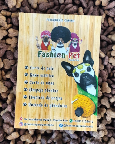Opiniones de Peluquería canina "Fashion Pet" en Puente Alto - Peluquería