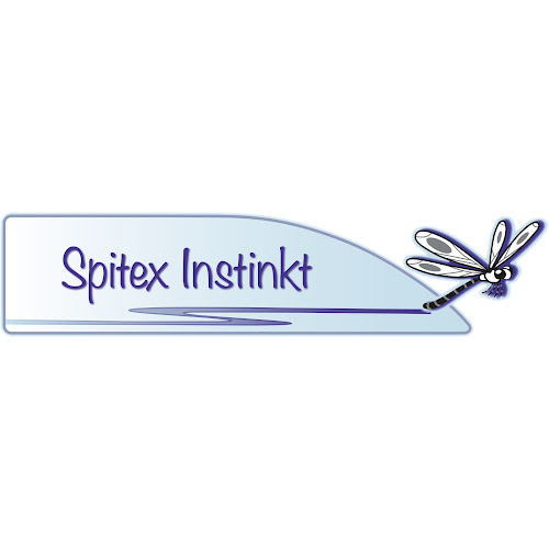 Rezensionen über Spitex Instinkt in Luzern - Pflegeheim