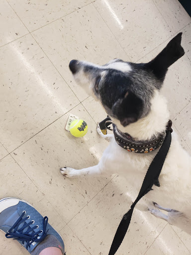 Pet Supply Store «PetSmart», reviews and photos, 7574 Voice of America Centre Dr, West Chester Township, OH 45069, USA