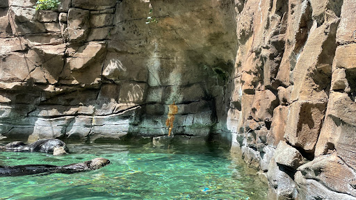 Gift Shop «Seattle Aquarium Gift Store», reviews and photos, 1483 Alaskan Way, Seattle, WA 98101, USA