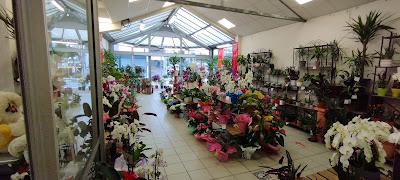 Plantes 2000 à Meyzieu