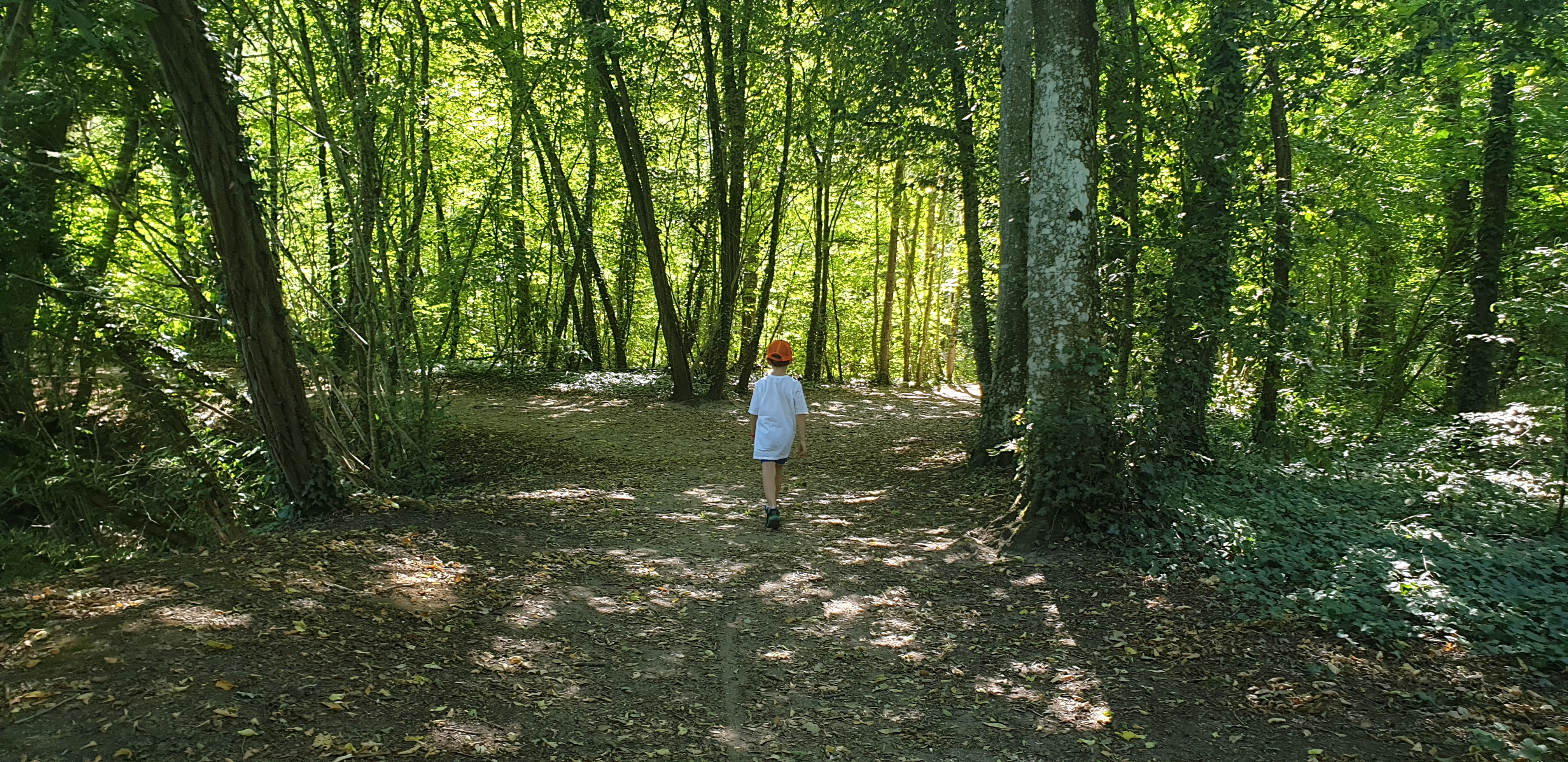 Photo n° 1 de l'avis de Aurély.u fait le 15/07/2022 à 16:30