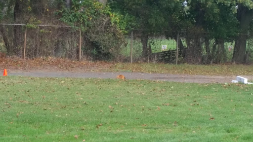 Country Club «Old Orchard Country Club», reviews and photos, 54 Monmouth Rd, Eatontown, NJ 07724, USA