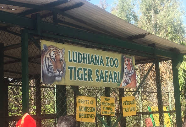 tiger safari ludhiana distance