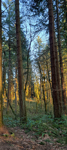 Maricara Natural Area
