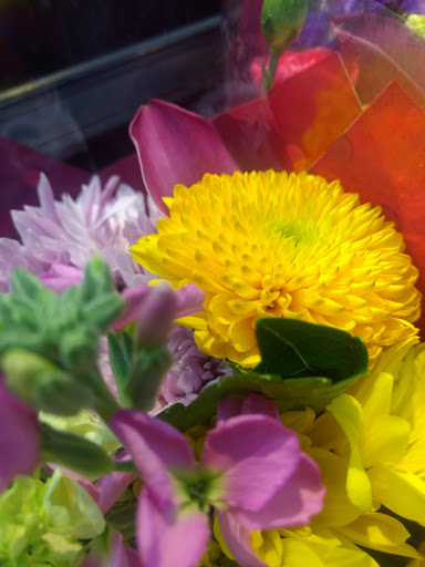 Department Store «Walmart Supercenter», reviews and photos, 121 Peter Pan Rd, Independence, KS 67301, USA