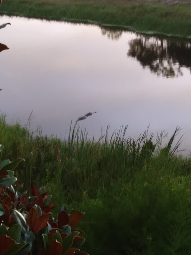 Golf Club «St. James Bay Golf Club», reviews and photos, 151 Laughing Gull Ln, Carrabelle, FL 32322, USA