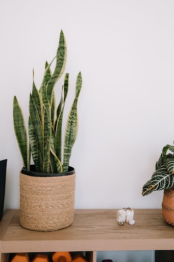 General Store «MOD GEN - A Modern General Store», reviews and photos, 211 N Broadway, Milwaukee, WI 53202, USA