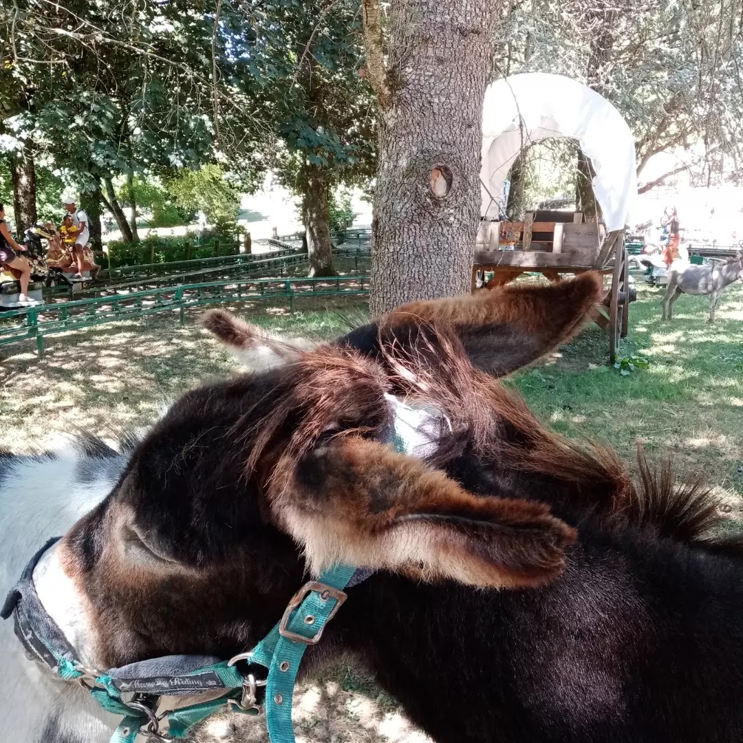 Photo n° 4 de l'avis de angelique.e fait le 07/08/2022 à 21:15