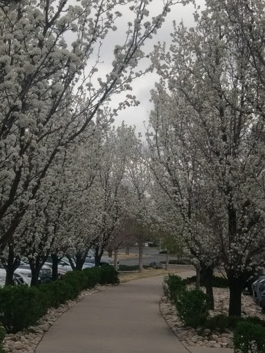Movie Theater «AMC Highlands Ranch 24», reviews and photos, 103 Centennial Blvd, Highlands Ranch, CO 80129, USA
