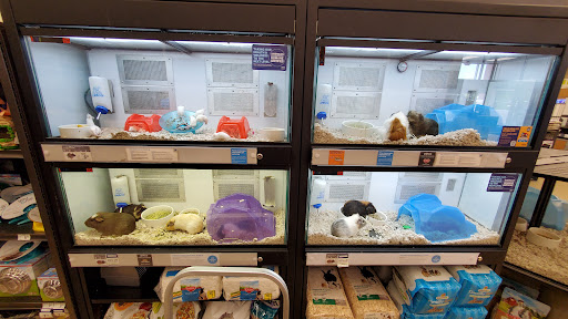 Pet Supply Store «Petco Animal Supplies», reviews and photos, 2565 NE 10th Ct, Homestead, FL 33035, USA