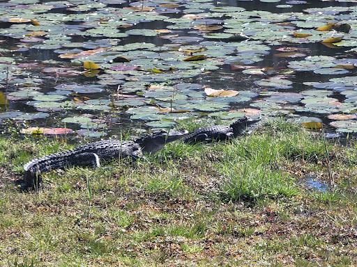 Golf Course «Rivers Edge Golf Club & Plantation», reviews and photos, 2000 Arnold Palmer Dr, Shallotte, NC 28470, USA