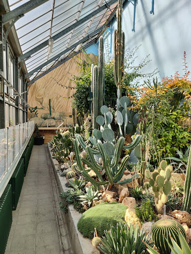 Jardin Botanique d'Anvers