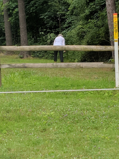 Live Music Venue «Blossom Music Center», reviews and photos, 1145 W Steels Corners Rd, Cuyahoga Falls, OH 44223, USA