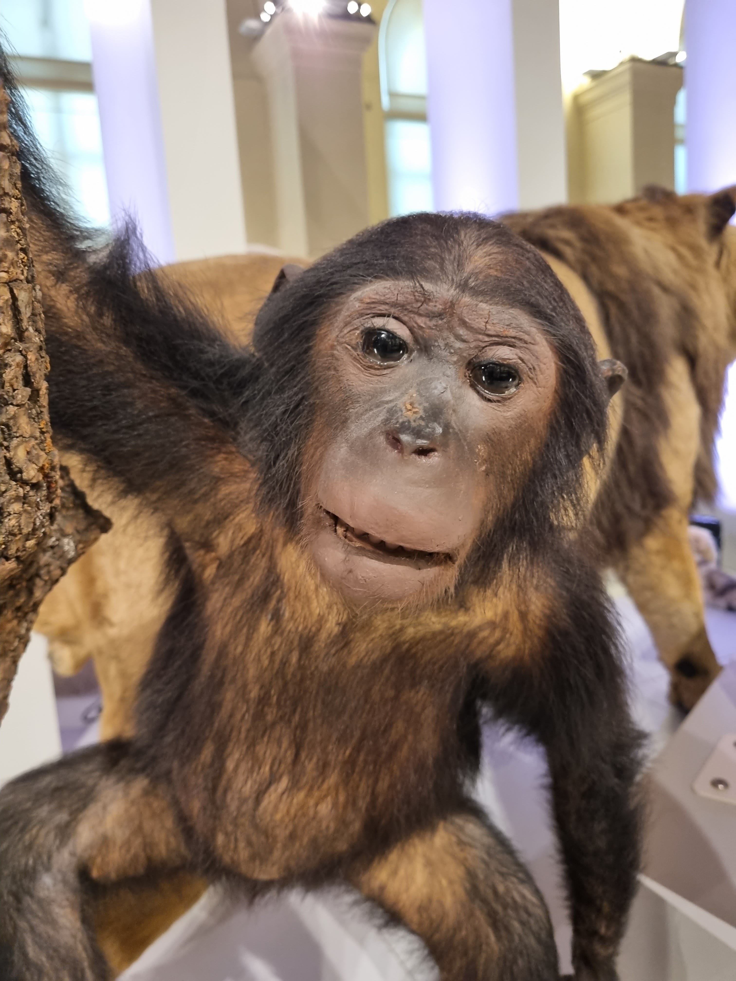 Photo n° 8 de l'avis de Jean-Louis.E fait le 15/08/2023 à 21:58