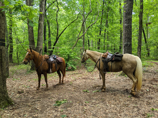 National Park «Kings Mountain National Military Park», reviews and photos, 2625 Park Rd, Blacksburg, SC 29702, USA