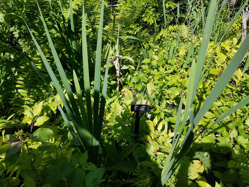 Nature Preserve «Eshqua Bog Natural Area», reviews and photos, Garvin Hill Rd, Woodstock, VT 05091, USA