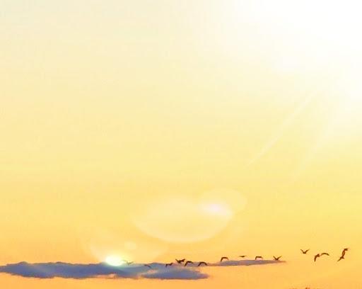 Department Store «HomeGoods», reviews and photos, 664 New Loudon Rd, Latham, NY 12110, USA