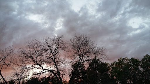 Park «Gateway Park», reviews and photos, 2500 N Jim Miller Rd, Dallas, TX 75227, USA