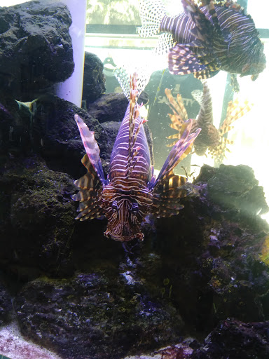 Marina «Sunrise Fish Dive Surf», reviews and photos, 505 Glen Cheek Dr, Port Canaveral, FL 32920, USA