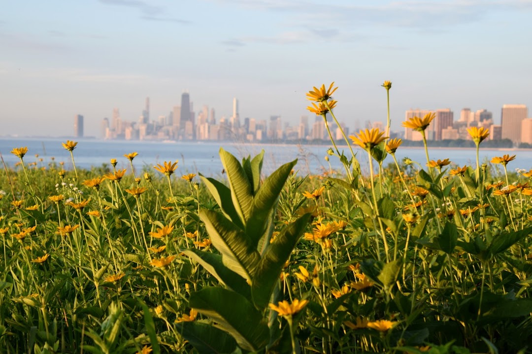 Montrose Point Bird Sanctuary