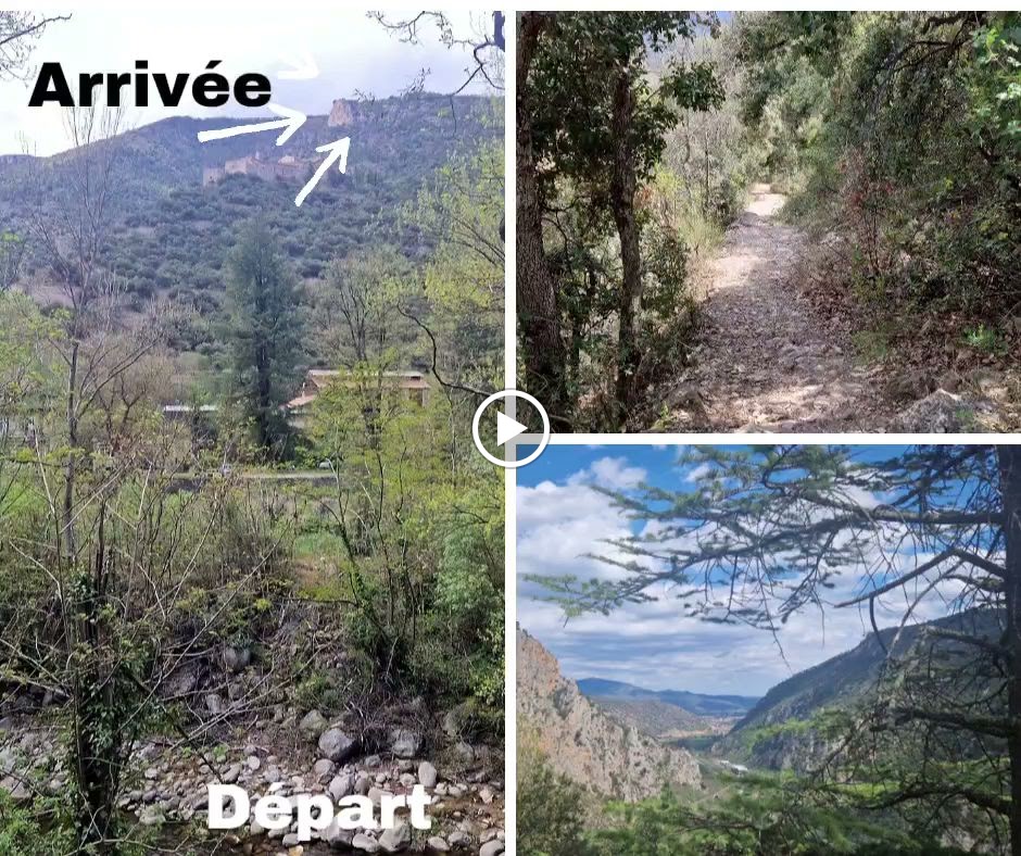 Photo n° 1 de l'avis de sofia.h fait le 20/04/2023 à 19:15