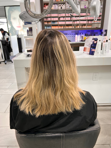 Beauty Salon «Monaco Salon», reviews and photos, 143 S Dale Mabry Hwy, Tampa, FL 33609, USA