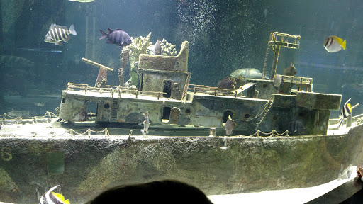 Tourist Attraction «IMAG History & Science Center (formerly Imaginarium Science Center)», reviews and photos, 2000 Cranford Ave, Fort Myers, FL 33916, USA