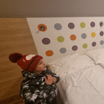 Photo n°1 de l'avis de Cosmin.p fait le 02/01/2024 à 20:03 sur le  Creatif Hotel Elephant à Munich