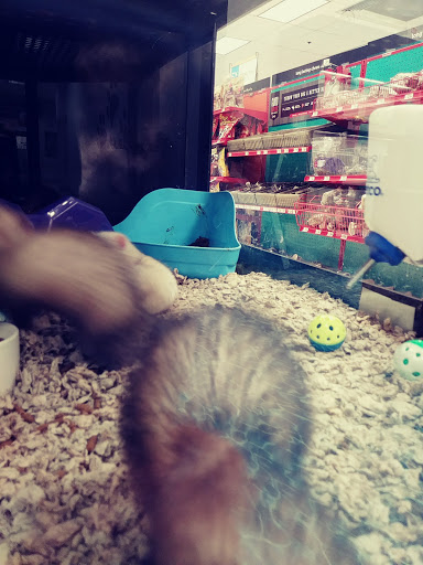 Pet Supply Store «Petco Animal Supplies», reviews and photos, 317 Boardman Poland Rd, Boardman, OH 44512, USA