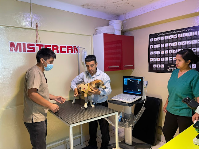 VETERINARIA MISTERCAN - Amarilis