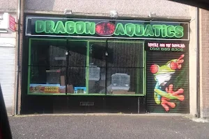 Dragon Aquatics image