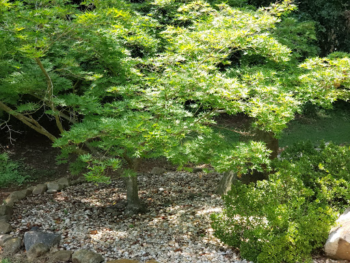 Historical Landmark «Helen Keller Birth Place», reviews and photos, 300 N Commons St W, Tuscumbia, AL 35674, USA
