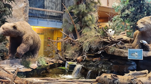 Outdoor Sports Store «Bass Pro Shops», reviews and photos, 7970 Northfield Blvd, Denver, CO 80238, USA