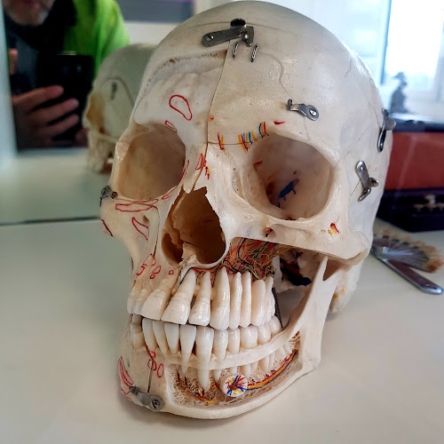 http://www.buehlerdental.ch/