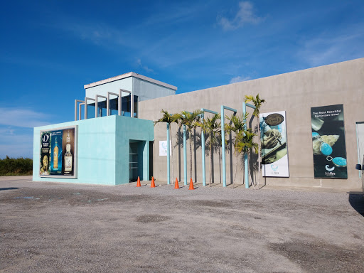 Box stores Punta Cana