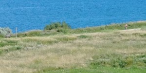 Sheridan Park - photo 99