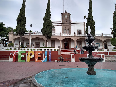 Presidencia Municipal de Tepeji del Río de Ocampo