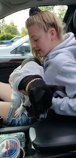 Pet Supply Store «Petco Animal Supplies», reviews and photos, 239 Newburyport Turnpike, Topsfield, MA 01983, USA