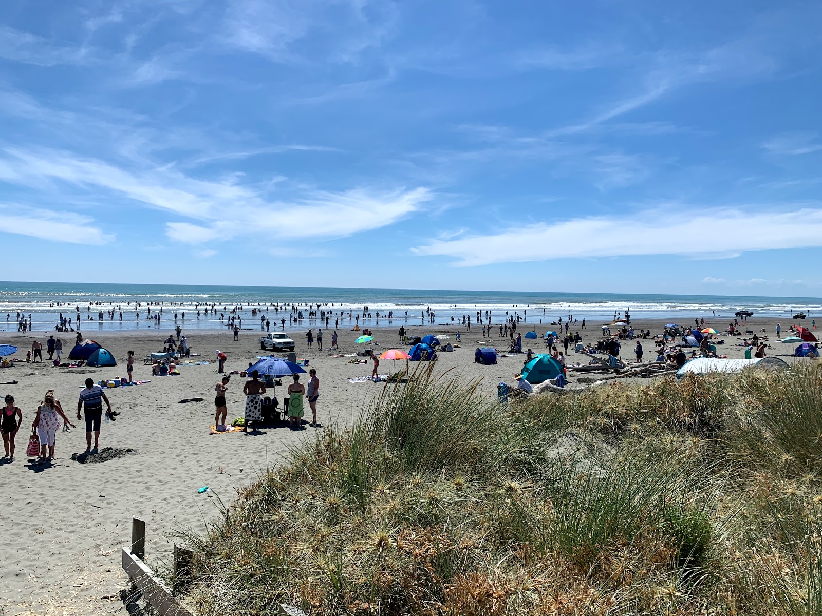 Φωτογραφία του Foxton Beach παροχές περιοχής
