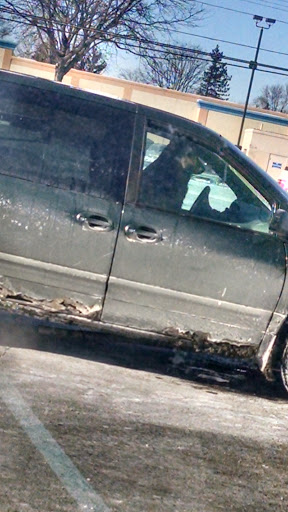 Pet Supply Store «Pet Supplies Plus», reviews and photos, 26230 Hoover Rd, Warren, MI 48089, USA