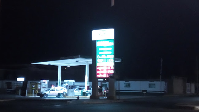Opiniones de Grifo Halkon en Tacna - Gasolinera