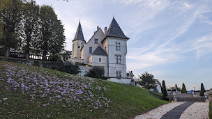 Photo n°83 de Château le Prieuré - La Maison Younan à Gennes-Val-de-Loire ()