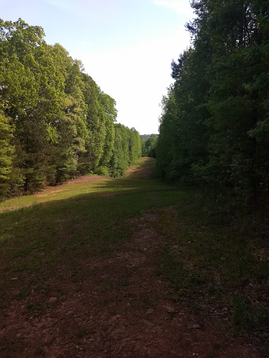 Disc Golf Course «Pipeline Disc Golf Course», reviews and photos, 106 Old Canaan Rd, Spartanburg, SC 29306, USA