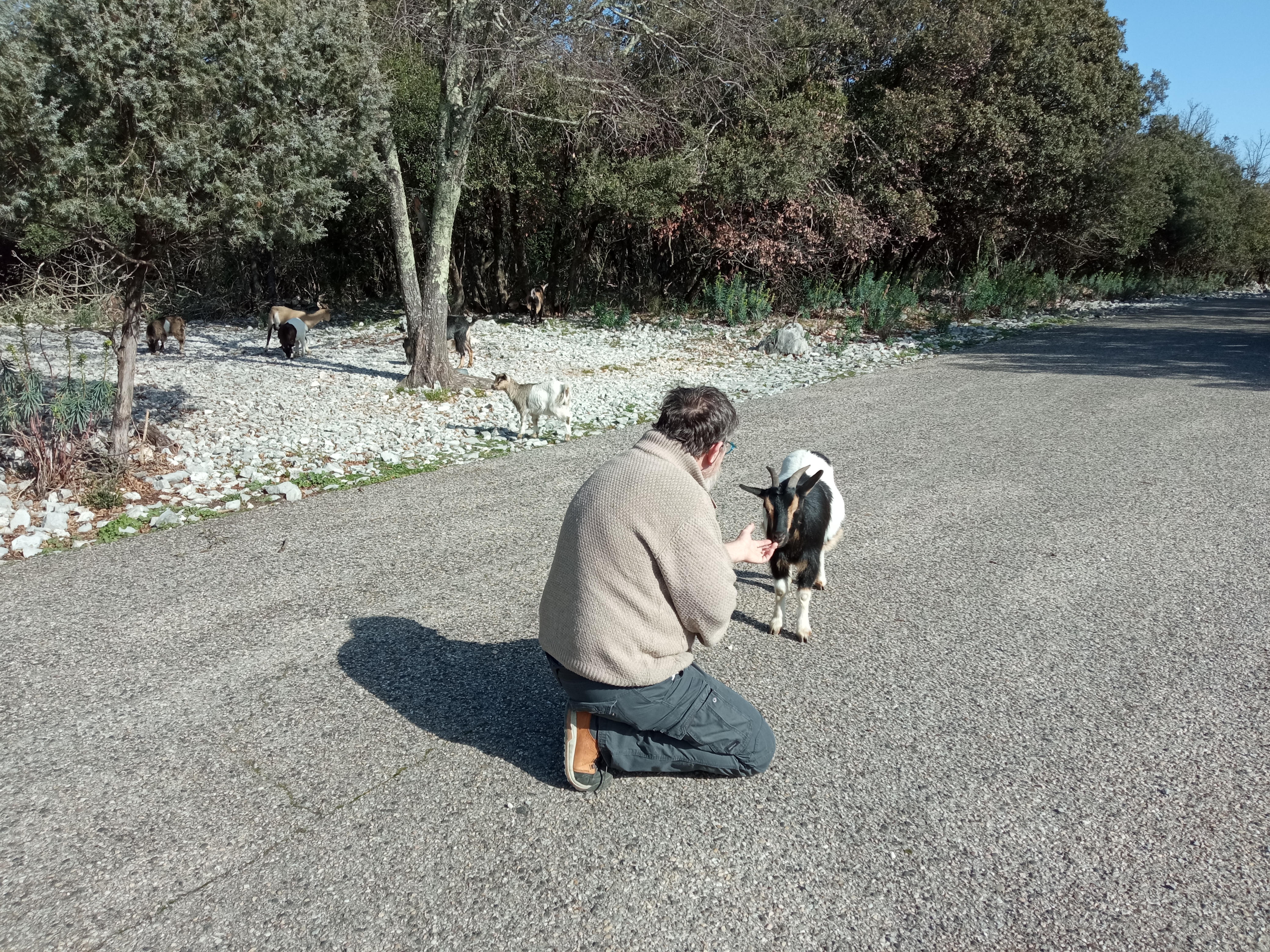 Photo n° 4 de l'avis de Raoul. fait le 06/03/2024 à 09:15