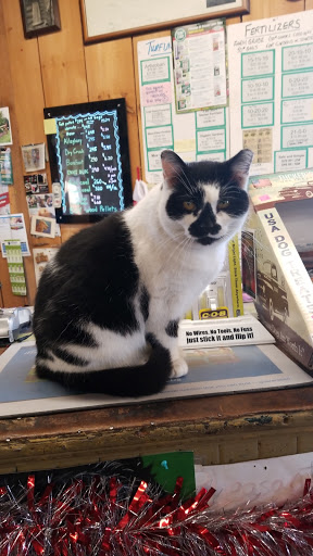 Pet Supply Store «Higbie Farm Supplies Inc», reviews and photos, 3440 Union St, North Chili, NY 14514, USA
