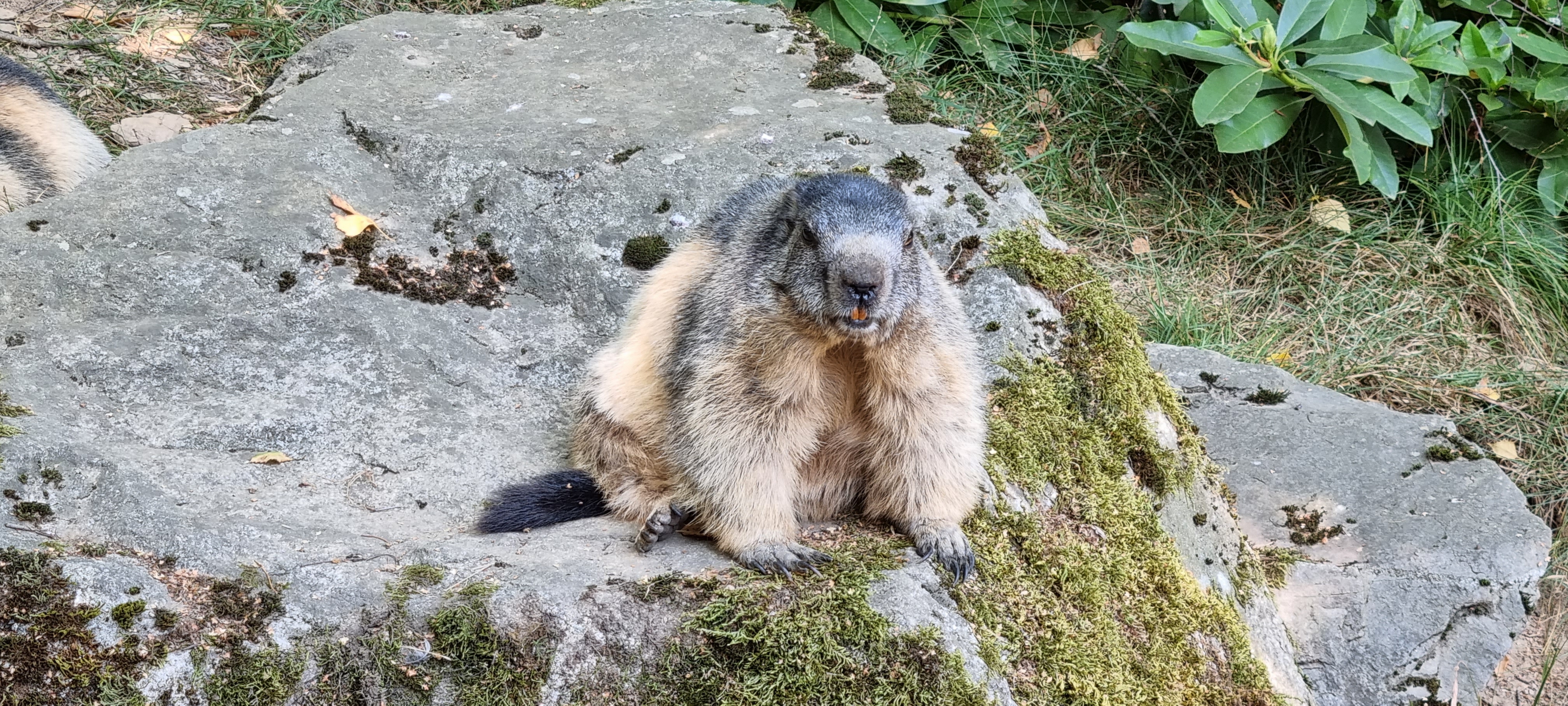 Photo n° 4 de l'avis de Steve.A fait le 27/08/2021 à 11:27