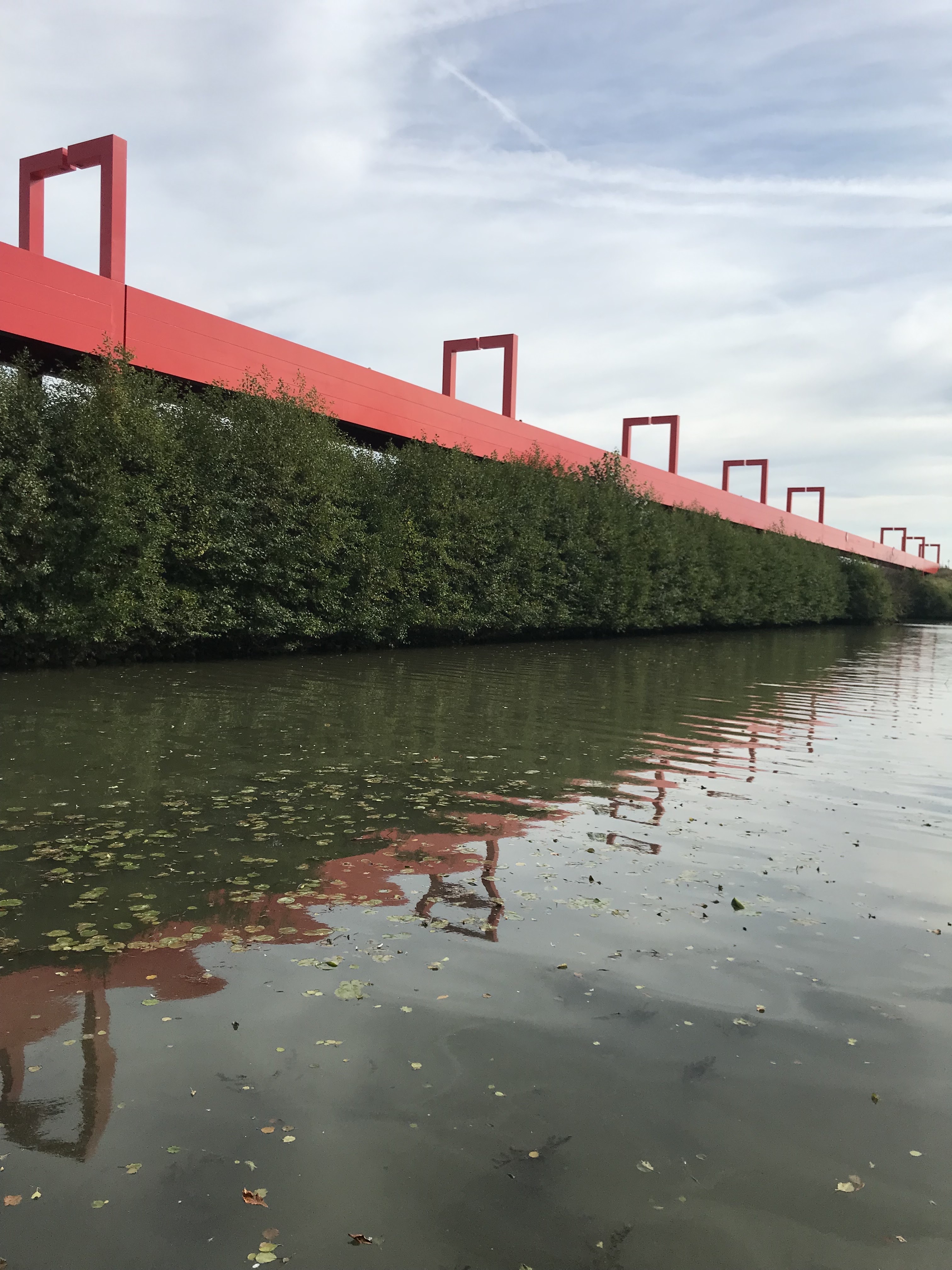 Photo n° 33 de l'avis de B2n. fait le 17/10/2021 à 14:23